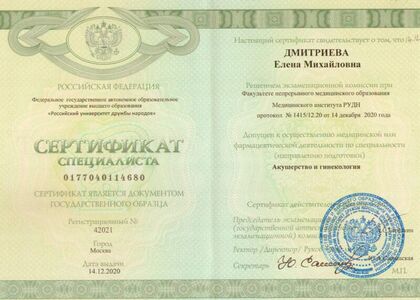 Дмитриева Елена Михайловна 3